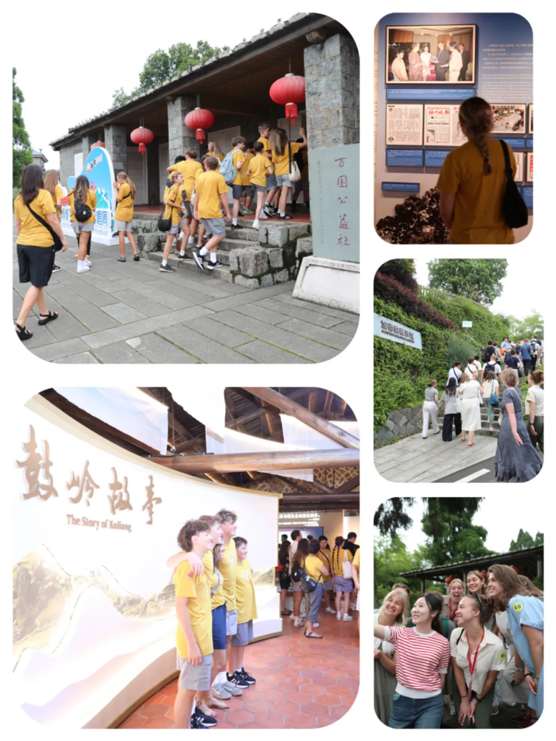 微信图片_2025-07-21_142437_571.png